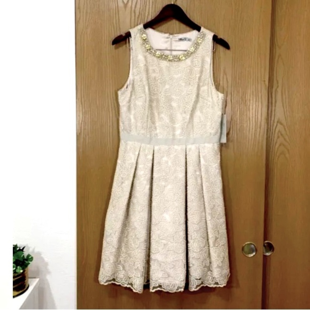Brand New With Tags Eliza J Lace Embellished Dress Size 12